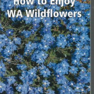 How to Enjoy WA Wildflowers
