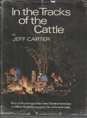 In the Tracks of the Cattle