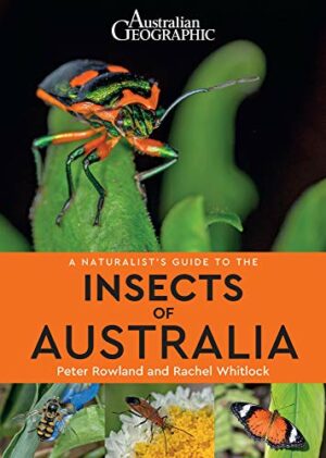 Naturalist's Guide to the Insects of Australia, A