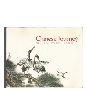 Chinese Journey
