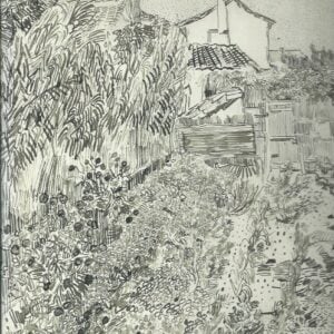 Vincent Van Gogh: The Drawings
