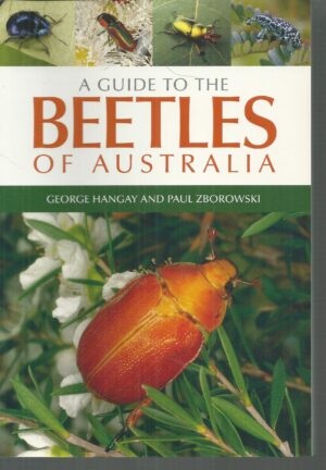 Guide to the Beetles of Australia, A