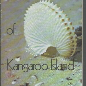 Sea Shells of Kangaroo Island