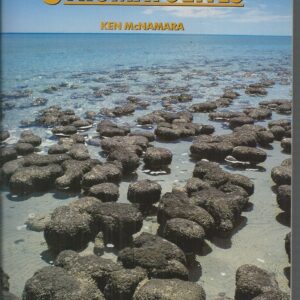 Stromatolites