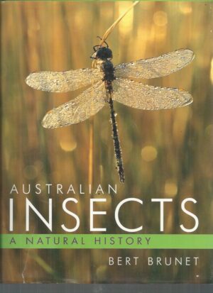 Australian Insects: A Natural History