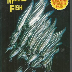 AUSTRALIAN MARINE FISH: A Natural History