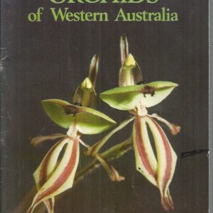 Orchids of Western Australia