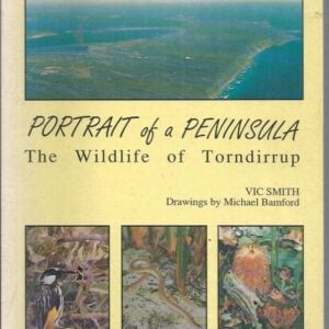 Portrait of a Peninsula: The Wildlife of Torndirrup