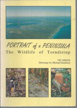 Portrait of a Peninsula: The Wildlife of Torndirrup